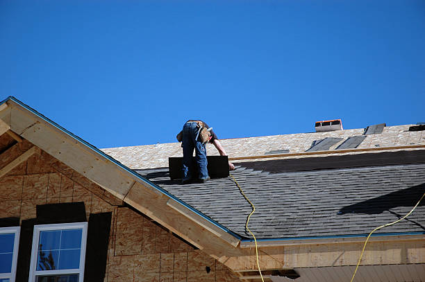 Best Roof Gutter Cleaning  in Quincy, IL